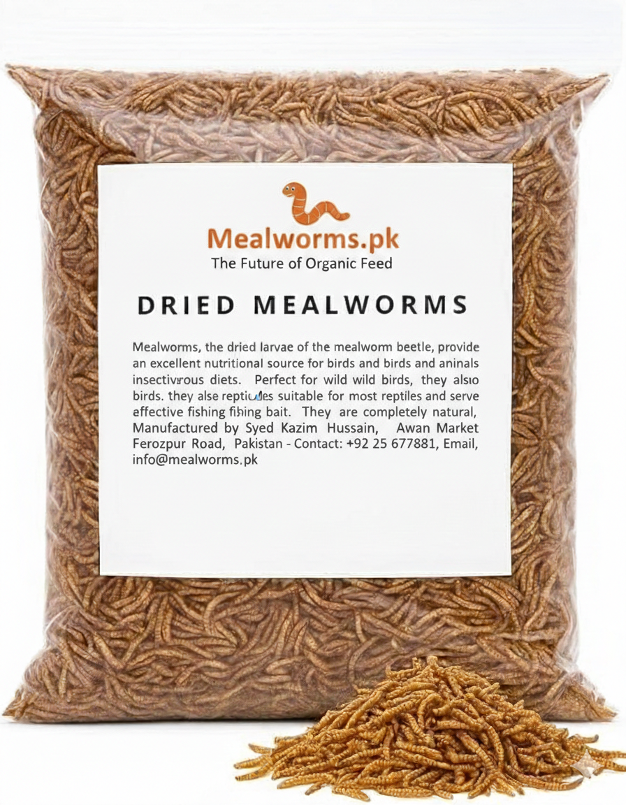 Dry Mealworms